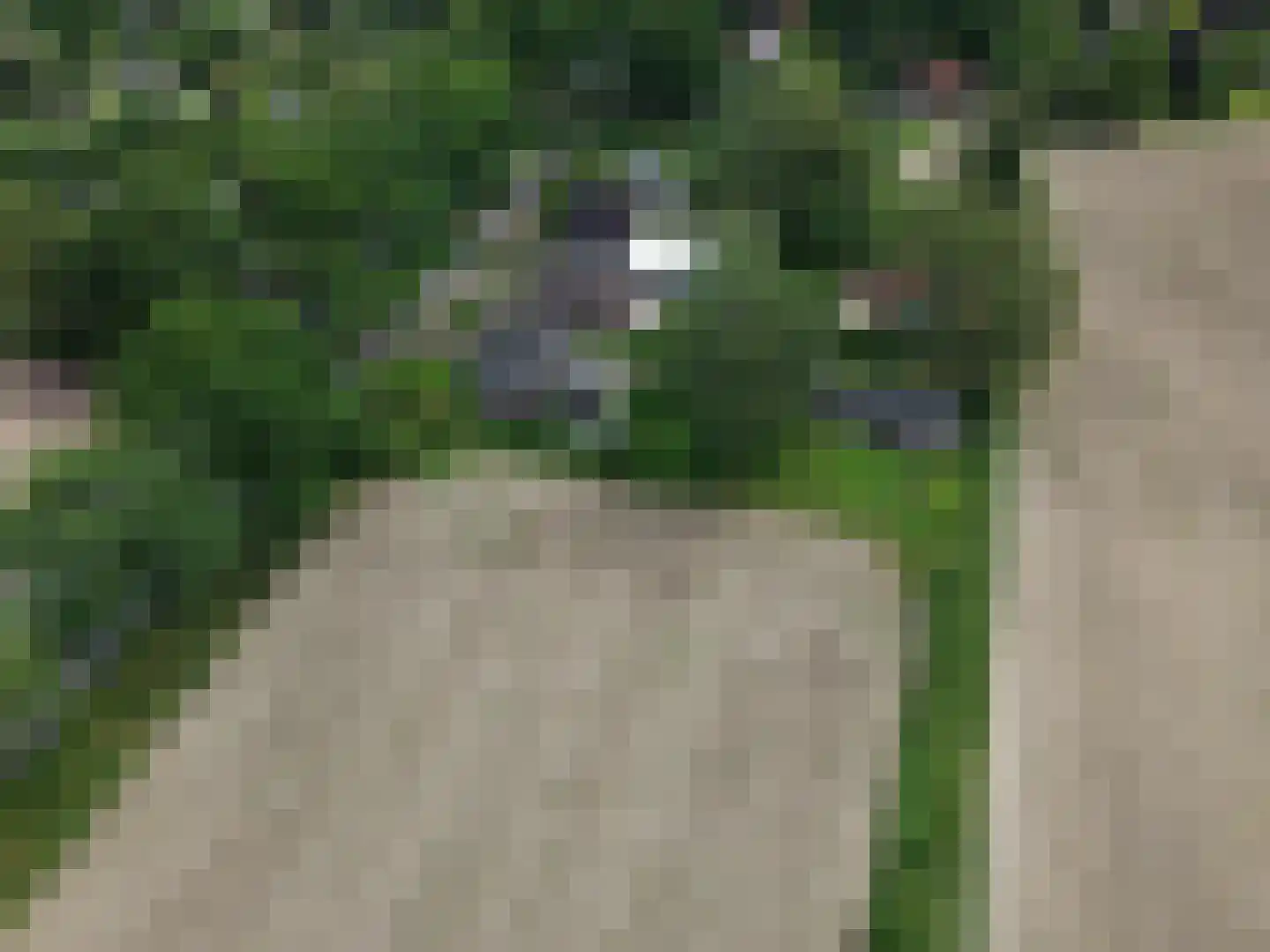 Ruurloseweg 52 Vorden thumbnail 61
