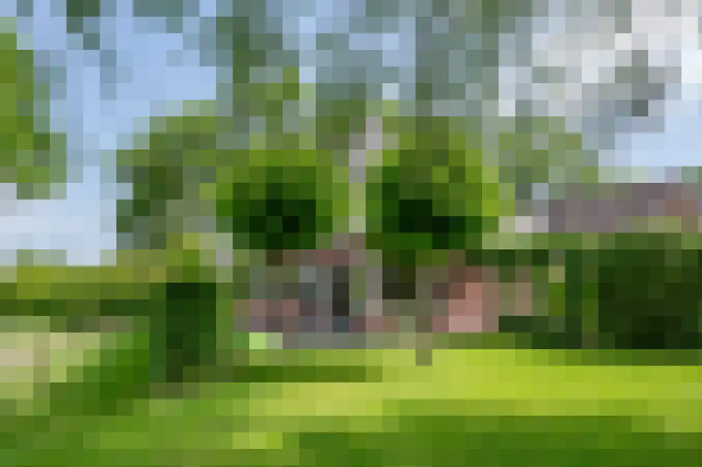Ruurloseweg 52 Vorden thumbnail 62