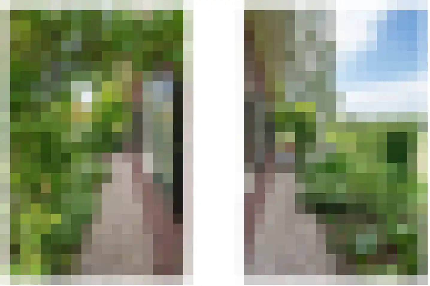 Ruurloseweg 52 Vorden thumbnail 64