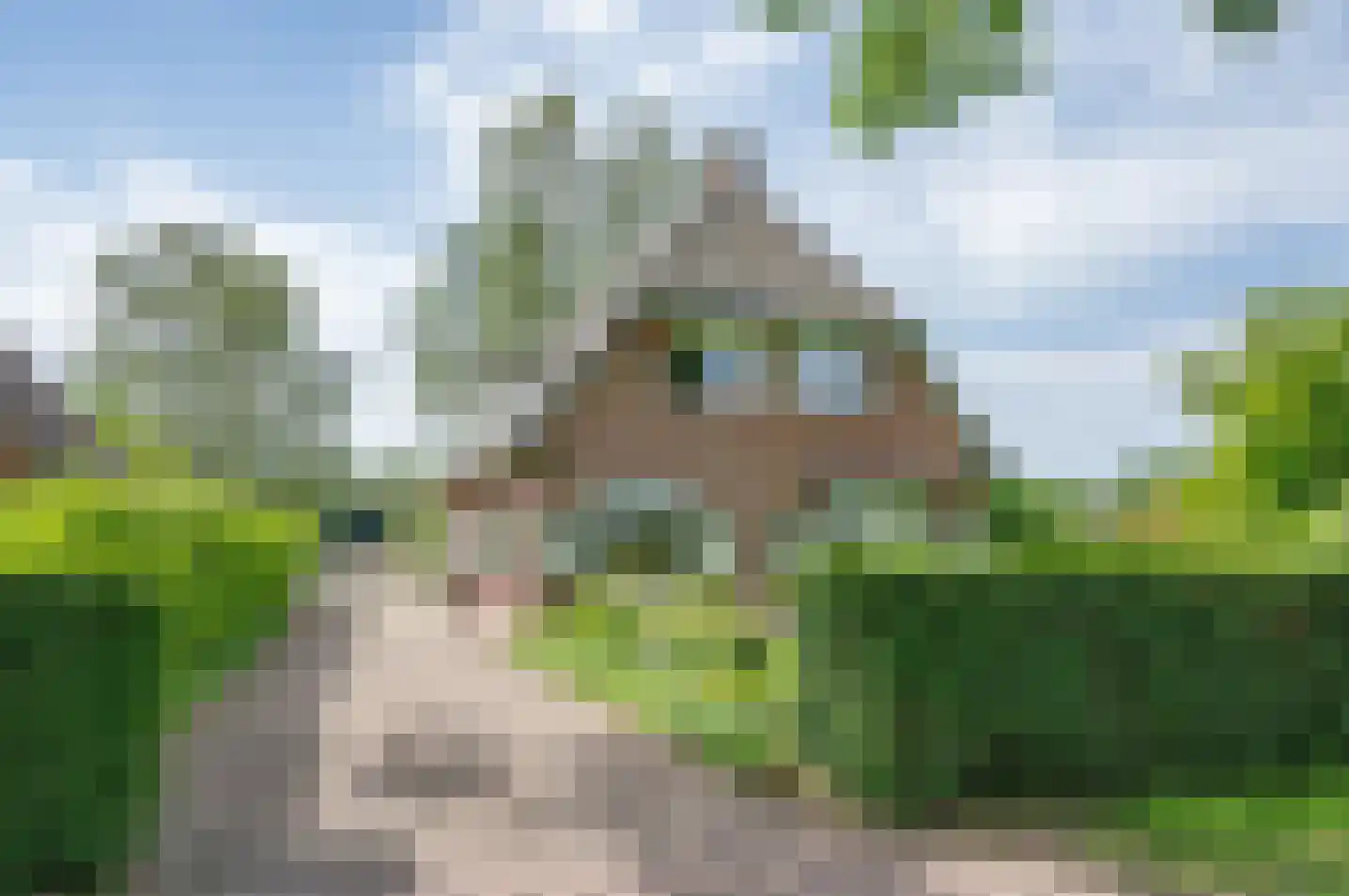 Ruurloseweg 52 Vorden thumbnail 7