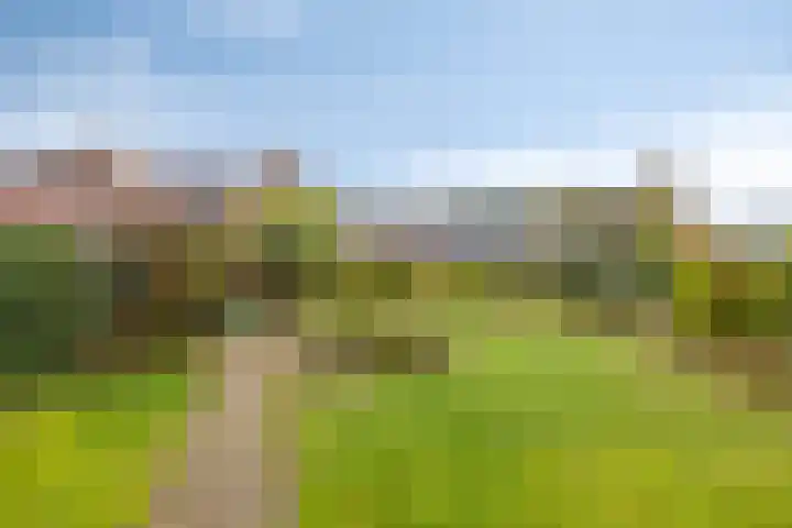 Ruurloseweg 63 Hengelo (Gld) thumbnail 34