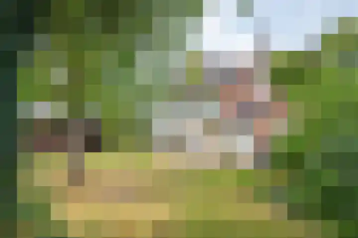 Ruurloseweg 66 Vorden thumbnail 36