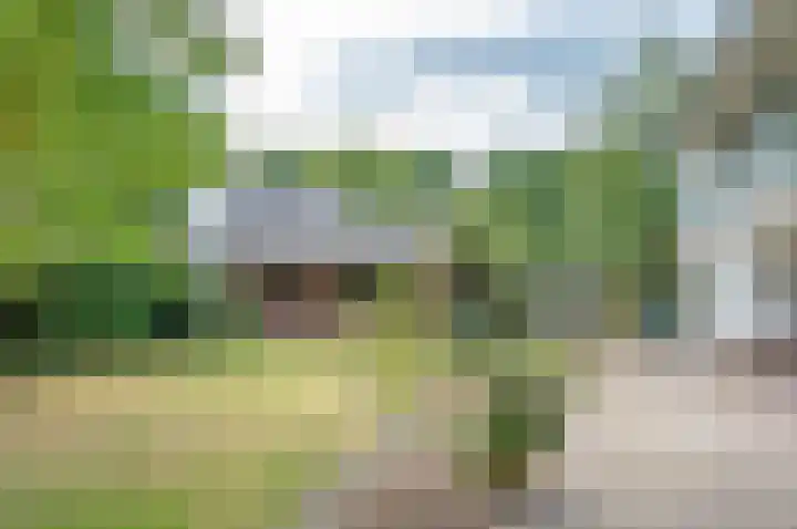Ruurloseweg 66 Vorden thumbnail 37