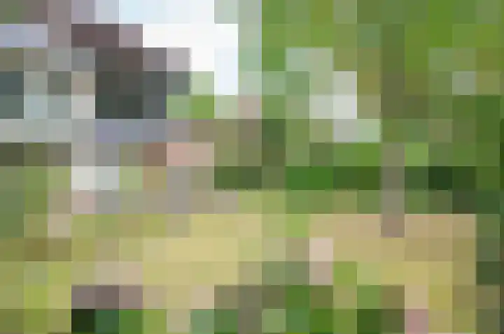 Ruurloseweg 66 Vorden thumbnail 38