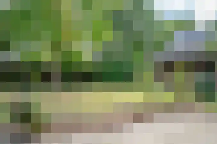 Ruurloseweg 66 Vorden thumbnail 40