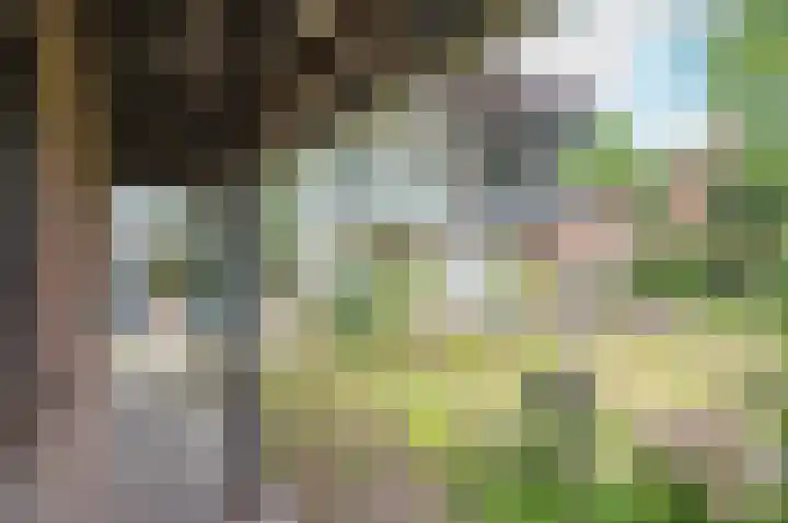 Ruurloseweg 66 Vorden thumbnail 42