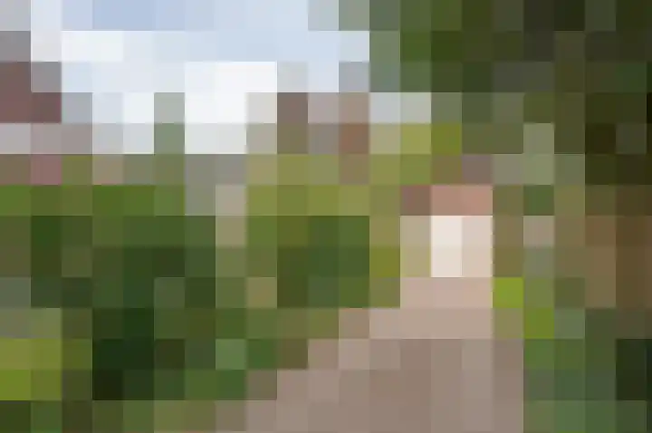 Ruurloseweg 66 Vorden thumbnail 45