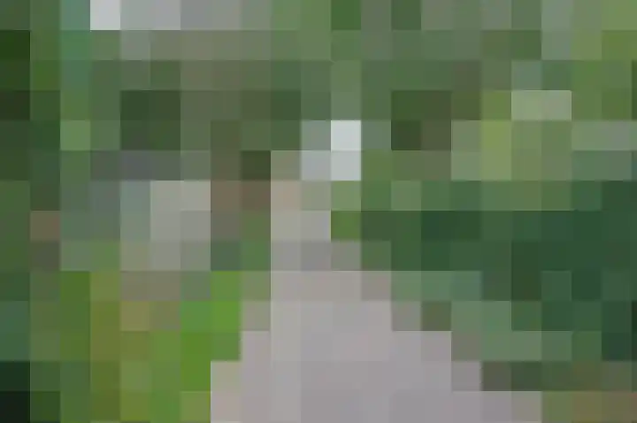 Ruurloseweg 66 Vorden thumbnail 46
