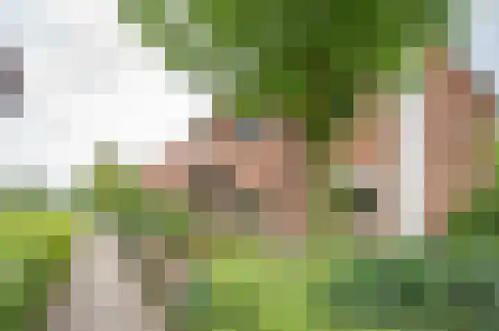 Ruurloseweg 66 Vorden thumbnail 6