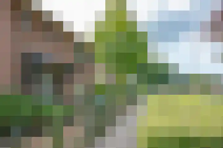 Ruurloseweg 66 Vorden thumbnail 7