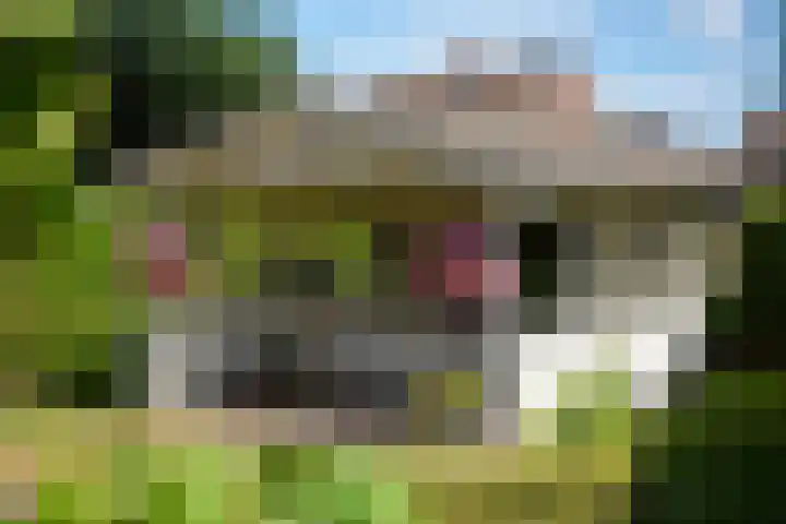 Ruurloseweg 71 Groenlo thumbnail 42
