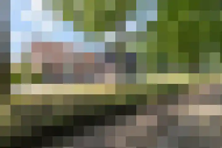 Ruurloseweg 71 Groenlo thumbnail 45