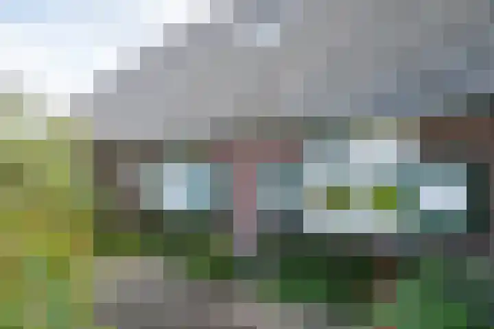 Ruurloseweg 73 Hengelo (Gld) thumbnail 22