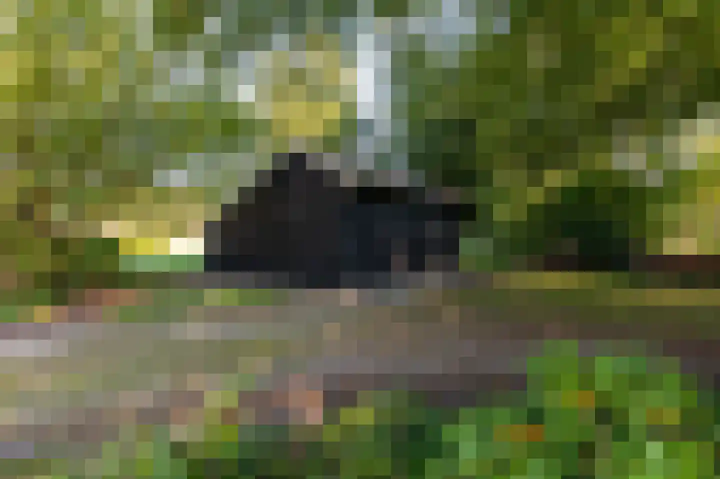 Ruurloseweg 77 79 Vorden thumbnail 102