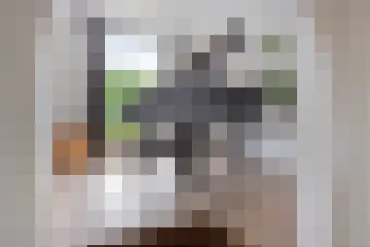 Ruurloseweg 78 Vorden thumbnail 11