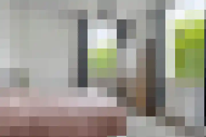 Ruurloseweg 78 Vorden thumbnail 26