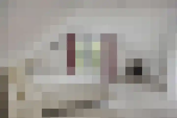 Ruurloseweg 78 Vorden thumbnail 34