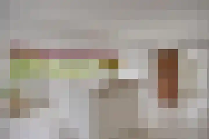 Ruurloseweg 78 Vorden thumbnail 37