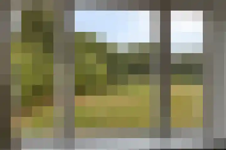 Ruurloseweg 78 Vorden thumbnail 39