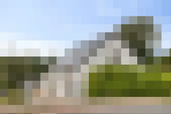 Ruurloseweg 78 Vorden thumbnail 4