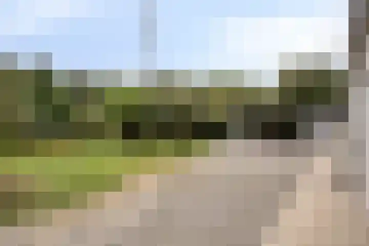 Ruurloseweg 78 Vorden thumbnail 46