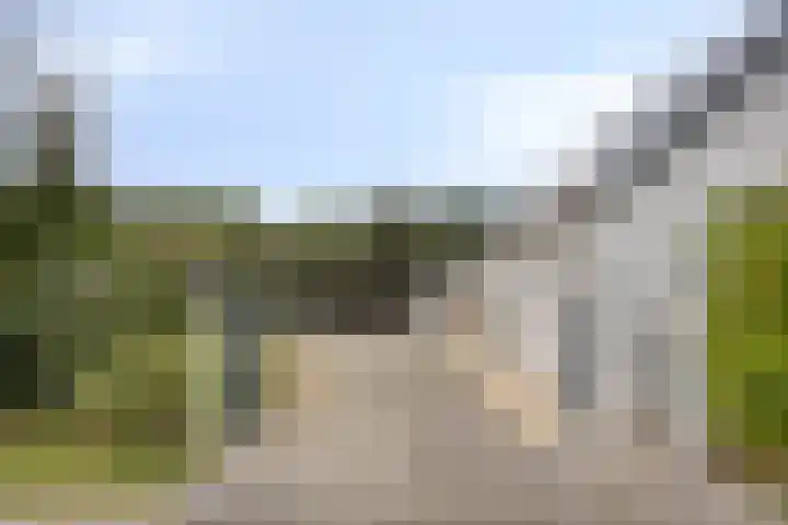 Ruurloseweg 78 Vorden thumbnail 5