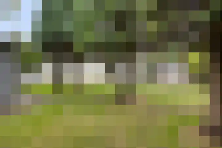 Ruurloseweg 78 Vorden thumbnail 51
