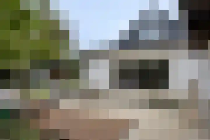 Ruurloseweg 78 Vorden thumbnail 52