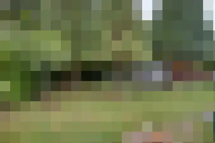 Ruurloseweg 78 Vorden thumbnail 55