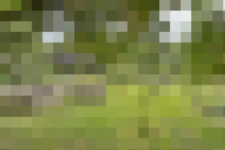 Ruurloseweg 78 Vorden thumbnail 56