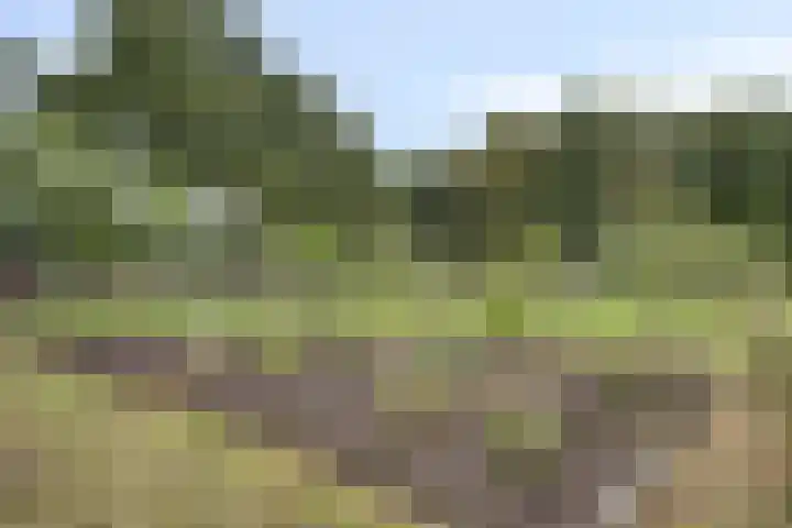 Ruurloseweg 78 Vorden thumbnail 57