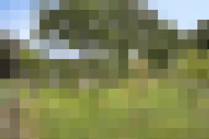 Ruurloseweg 78 Vorden thumbnail 58