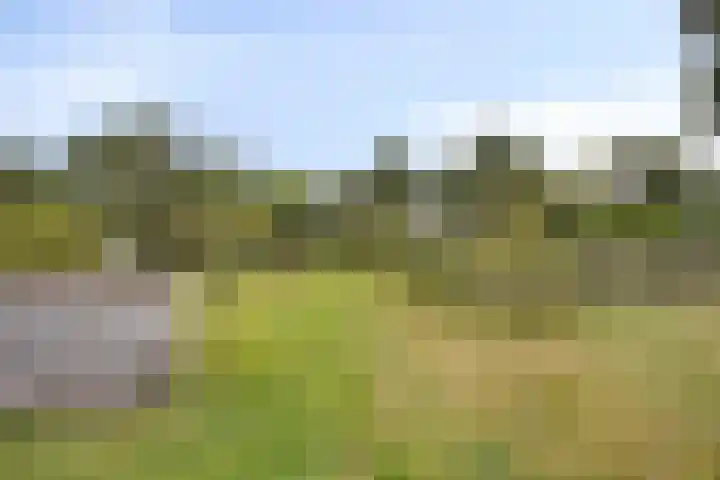 Ruurloseweg 78 Vorden thumbnail 59