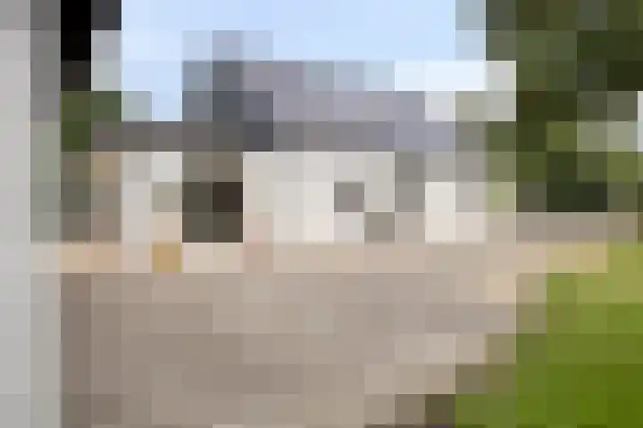 Ruurloseweg 78 Vorden thumbnail 6