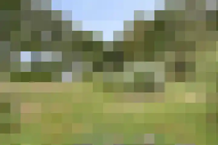 Ruurloseweg 78 Vorden thumbnail 60