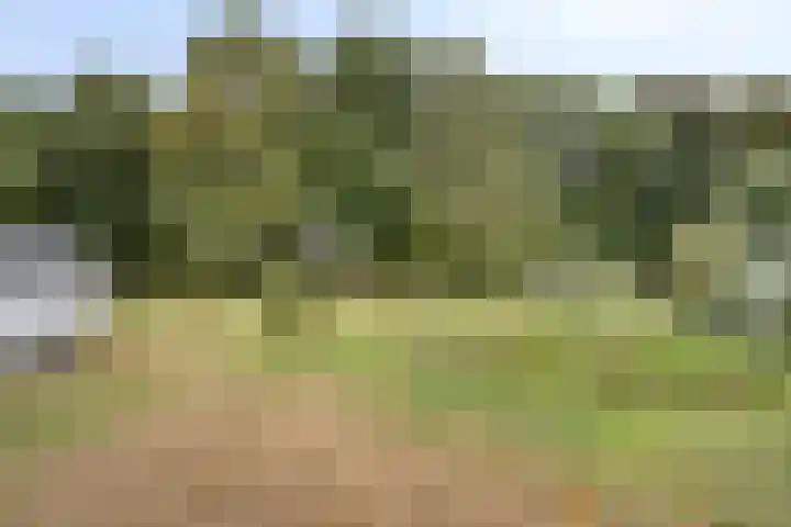 Ruurloseweg 78 Vorden thumbnail 61