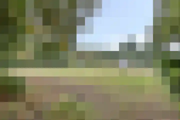 Ruurloseweg 78 Vorden thumbnail 62