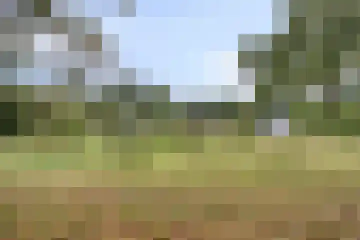 Ruurloseweg 78 Vorden thumbnail 63