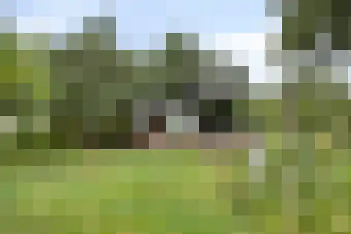 Ruurloseweg 78 Vorden thumbnail 64