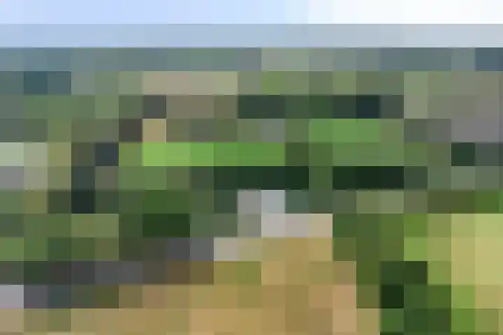 Ruurloseweg 78 Vorden thumbnail 65