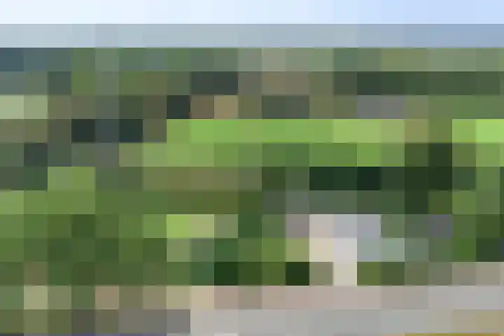 Ruurloseweg 78 Vorden thumbnail 66