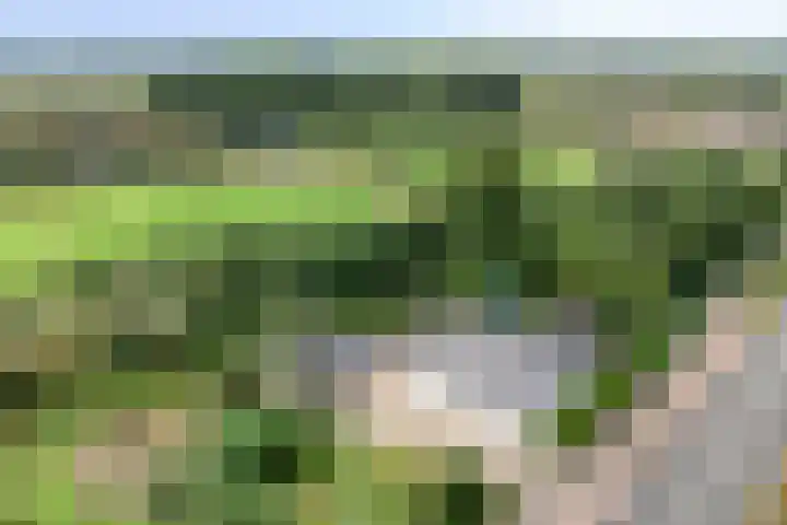 Ruurloseweg 78 Vorden thumbnail 67