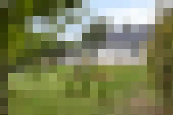 Ruurloseweg 78 Vorden thumbnail 7
