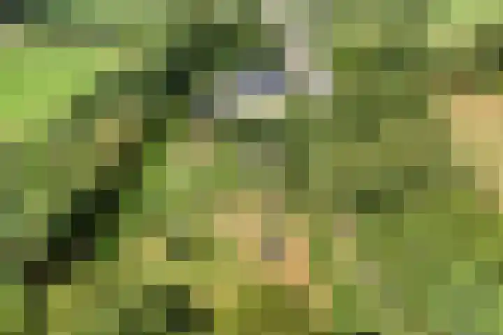 Ruurloseweg 78 Vorden thumbnail 70
