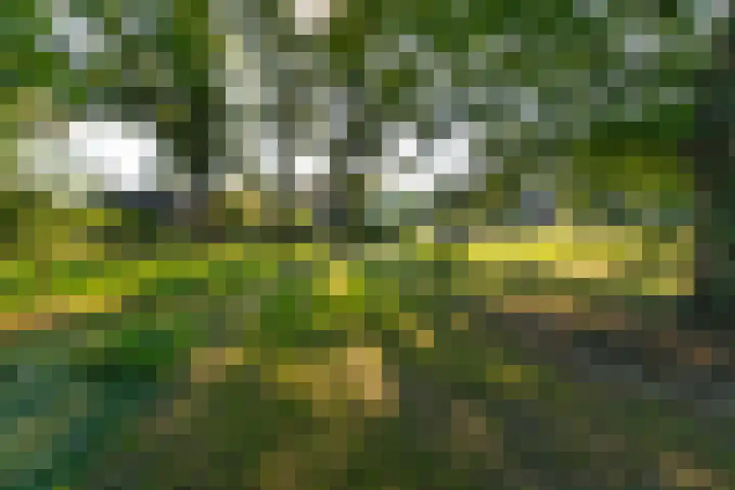 Ruurloseweg 79 79 Vorden thumbnail 101