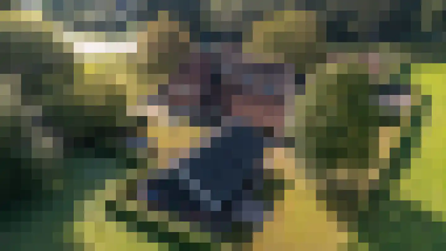 Ruurloseweg 79 79 Vorden thumbnail 79