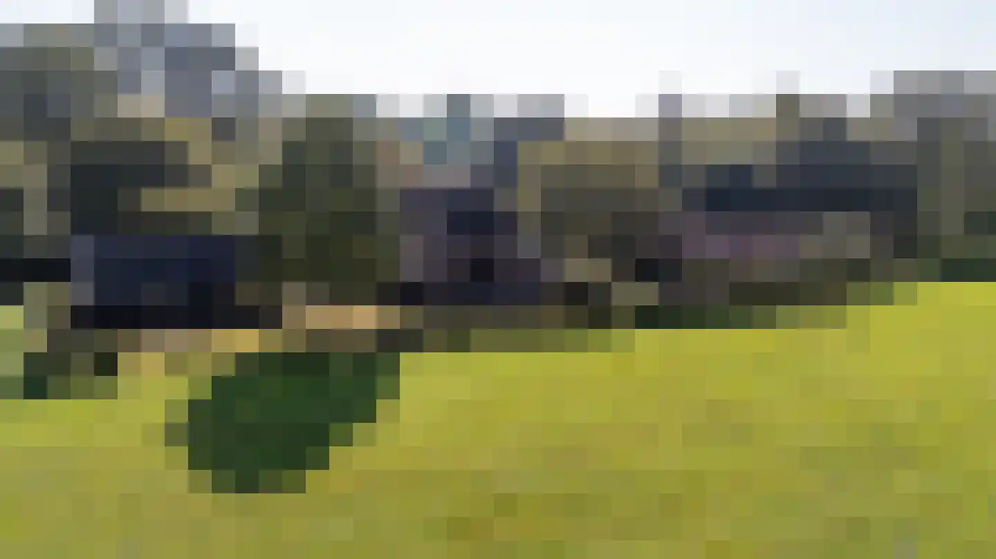 Ruurloseweg 79 79 Vorden thumbnail 80
