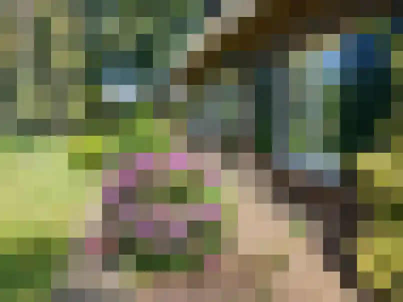 Ruurloseweg 93 Vorden thumbnail 4