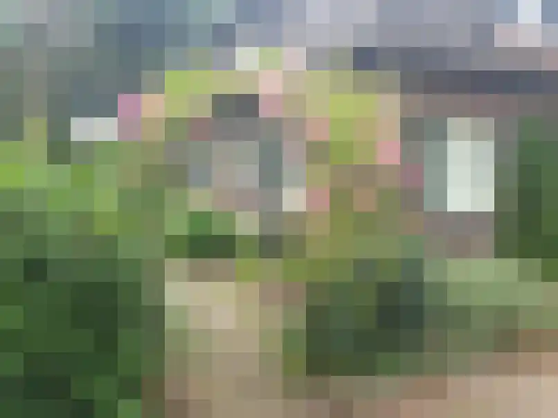 Ruurloseweg 93 Vorden thumbnail 6