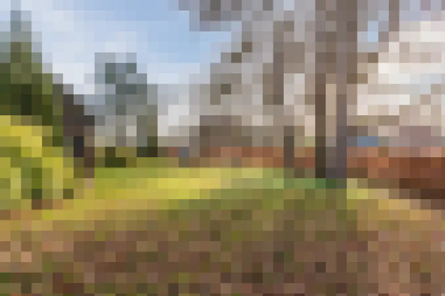 Ruurloseweg 93 Vorden thumbnail 7